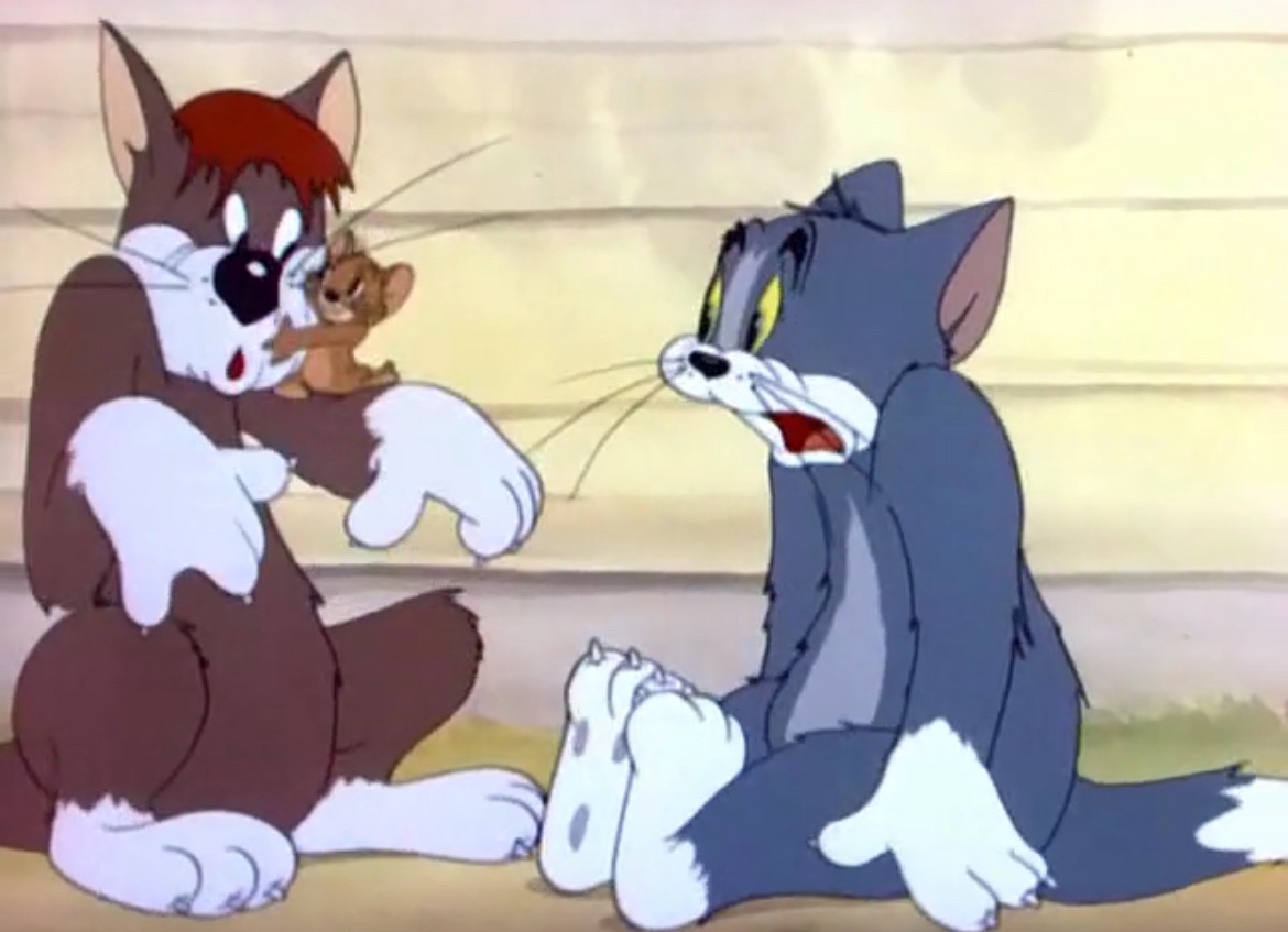 Meathead Cat - Tom and Jerry Wiki