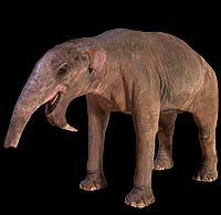 Deinotherium (ARIT) - Primeval Fanon Wiki