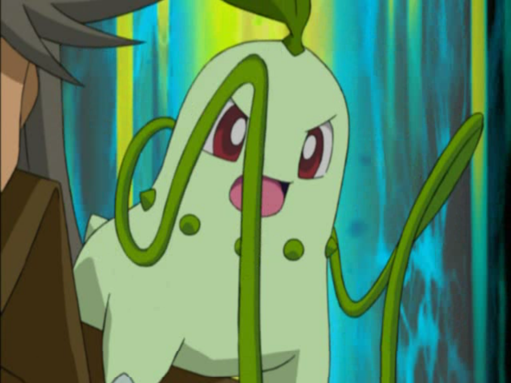 http://images2.wikia.nocookie.net/__cb20111015085841/seviland-encyclopedia/bg/images/8/8d/Silver_Chikorita_Vine_Whip.png