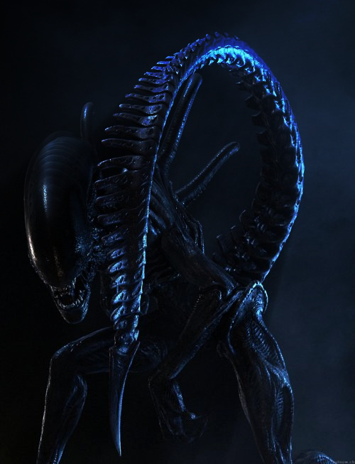 Image - Xenomorph.png - Xenopedia - The Alien vs. Predator Wiki