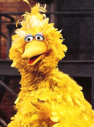 Big Bird Through the Years | Muppets Fanon Wiki | FANDOM powered by Wikia