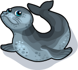 Leopard Seal - Tiny Zoo Wiki