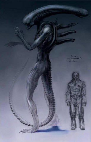 Image - Jockey-Xenomorph.PNG - Xenomorph Species Wiki