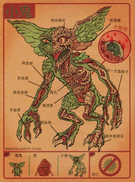 http://images2.wikia.nocookie.net/__cb20130306104847/gremlins/images/a/ab/Gremlin_anatomy.jpg